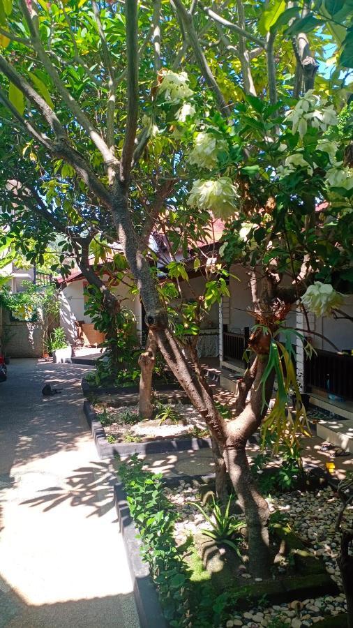 Gili Guest House Gili Air Exterior photo